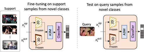 model stage 4
